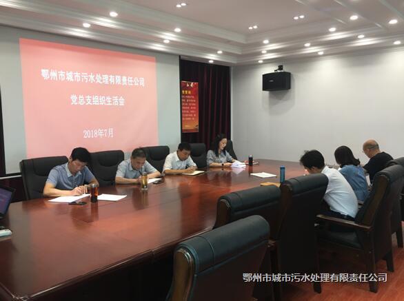 市污水处理公司召开党总支组织生活会
